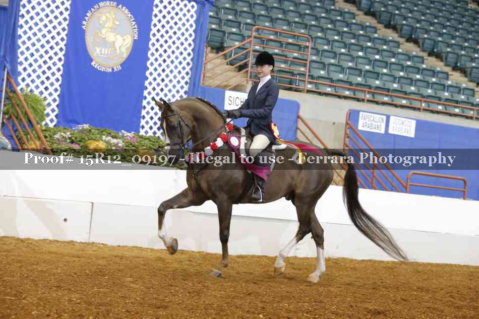 Proof 15R12_09197