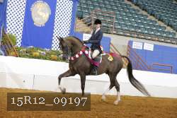 15R12_09197 proof