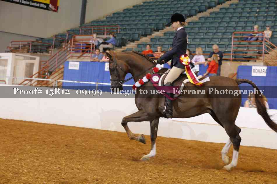 Proof 15R12_09199