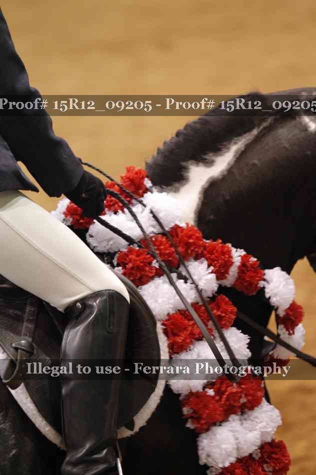Proof 15R12_09205