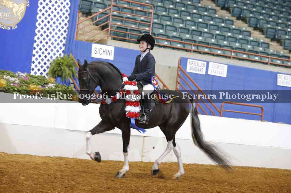 Proof 15R12_09206
