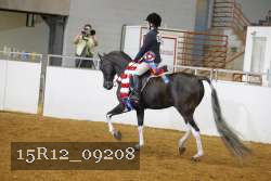 15R12_09208 proof