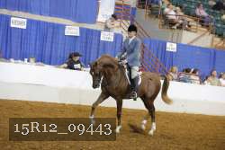 15R12_09443 proof