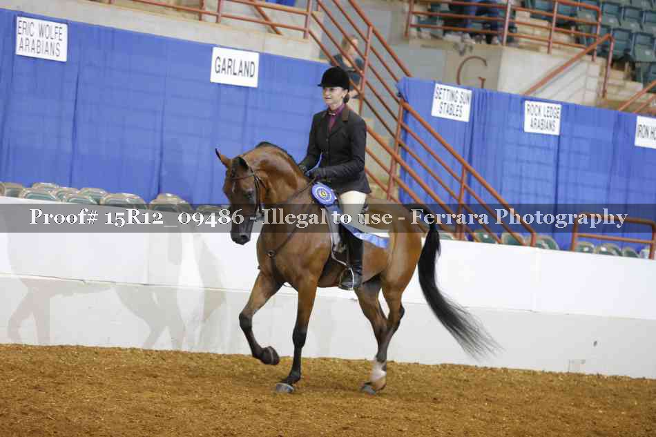 Proof 15R12_09486