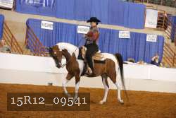 15R12_09541 proof