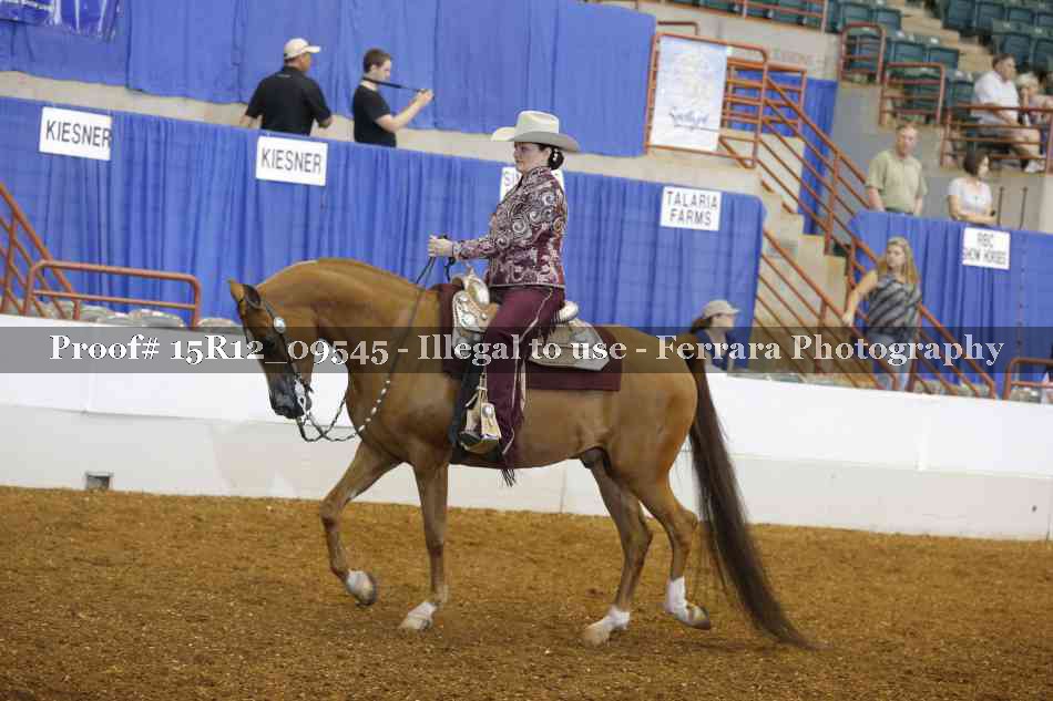 Proof 15R12_09545