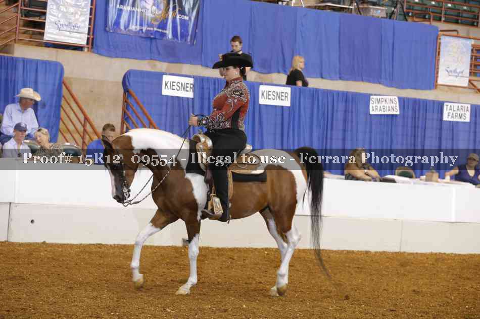 Proof 15R12_09554