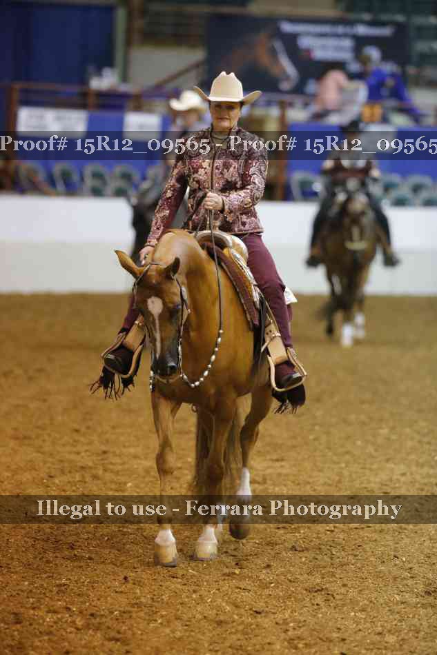 Proof 15R12_09565