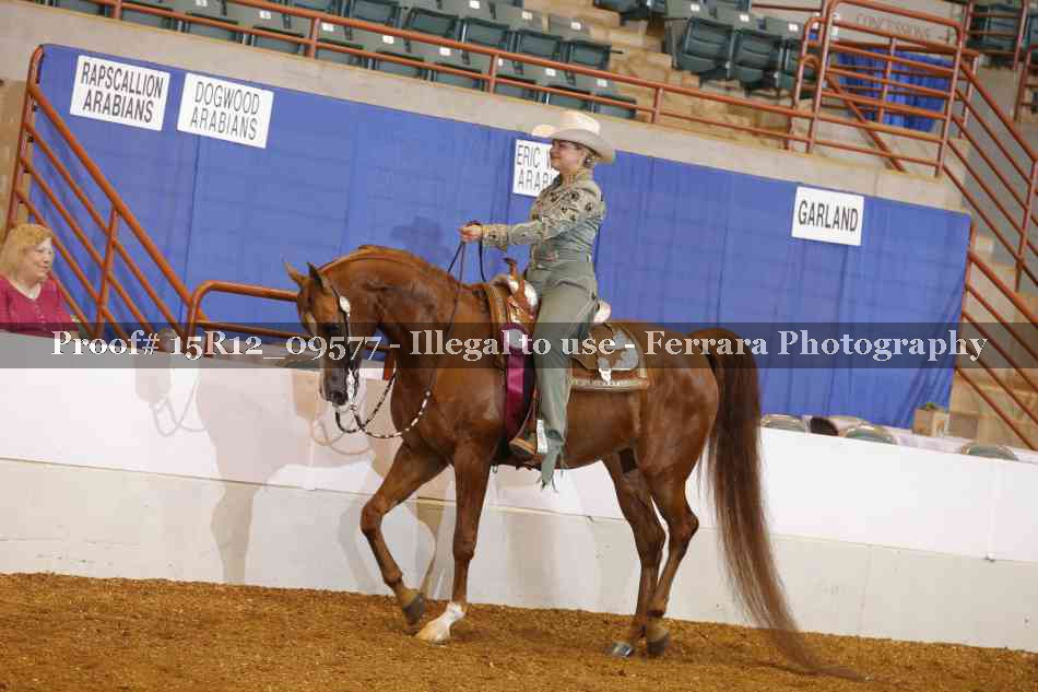 Proof 15R12_09577