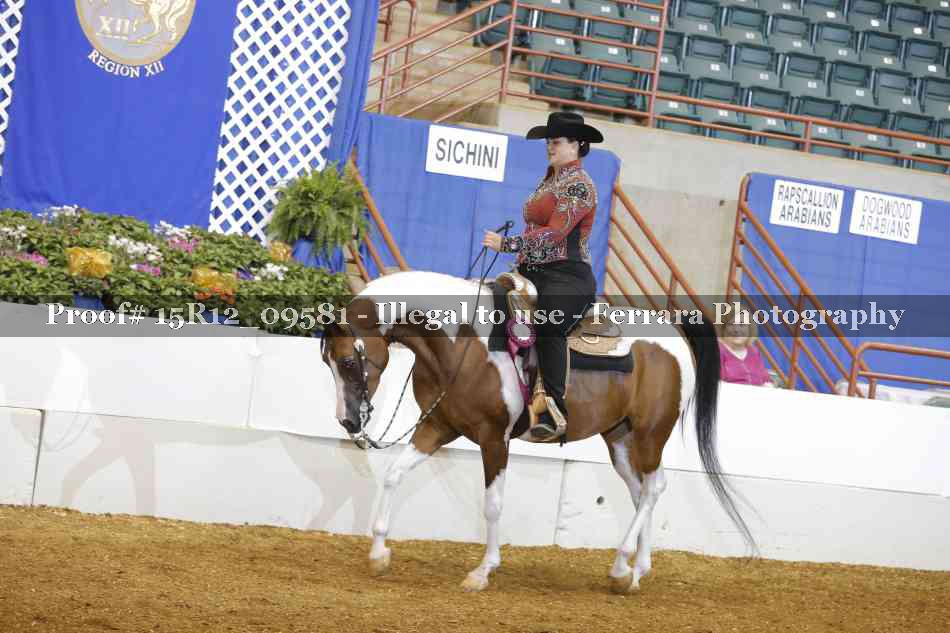Proof 15R12_09581