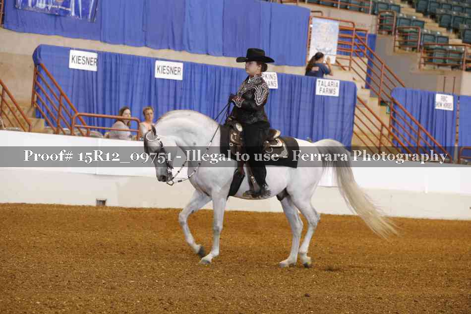 Proof 15R12_09751