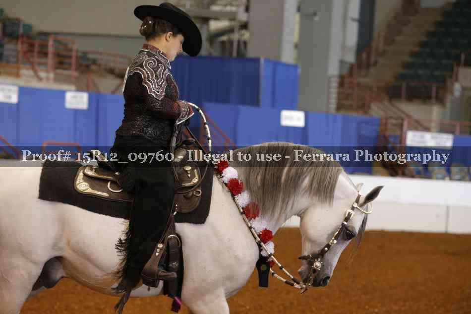 Proof 15R12_09760