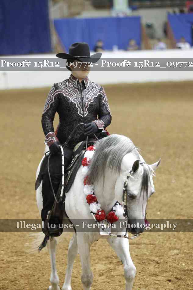 Proof 15R12_09772