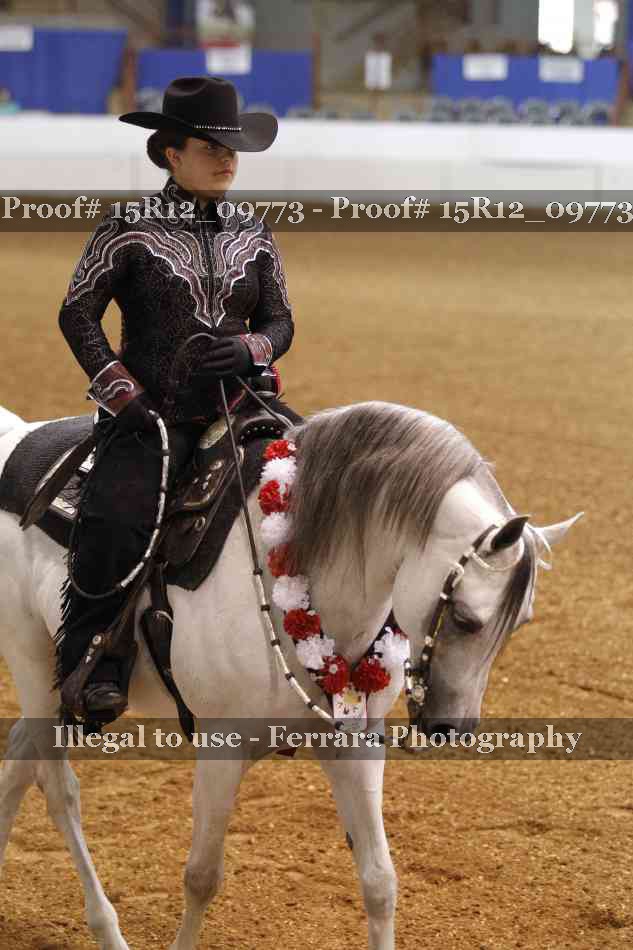 Proof 15R12_09773
