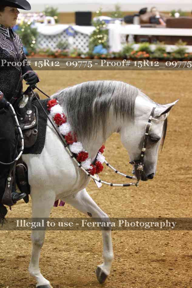 Proof 15R12_09775