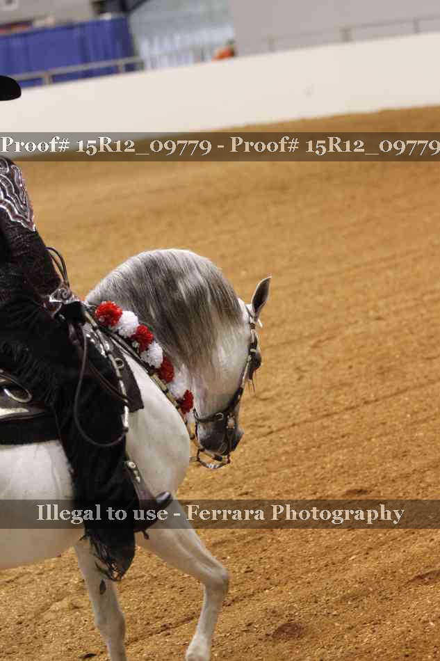 Proof 15R12_09779