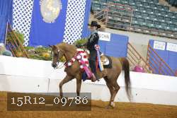 15R12_09786 proof