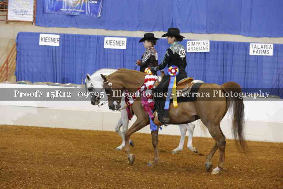 Proof 15R12_09795