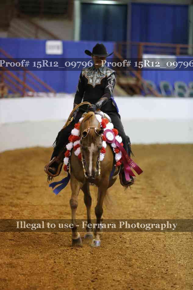 Proof 15R12_09796