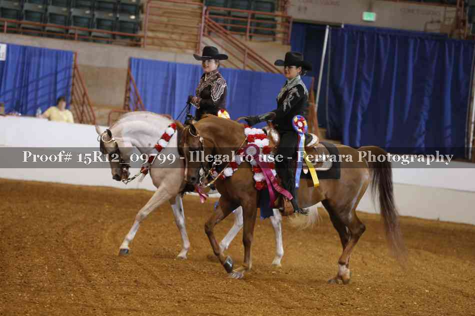 Proof 15R12_09799