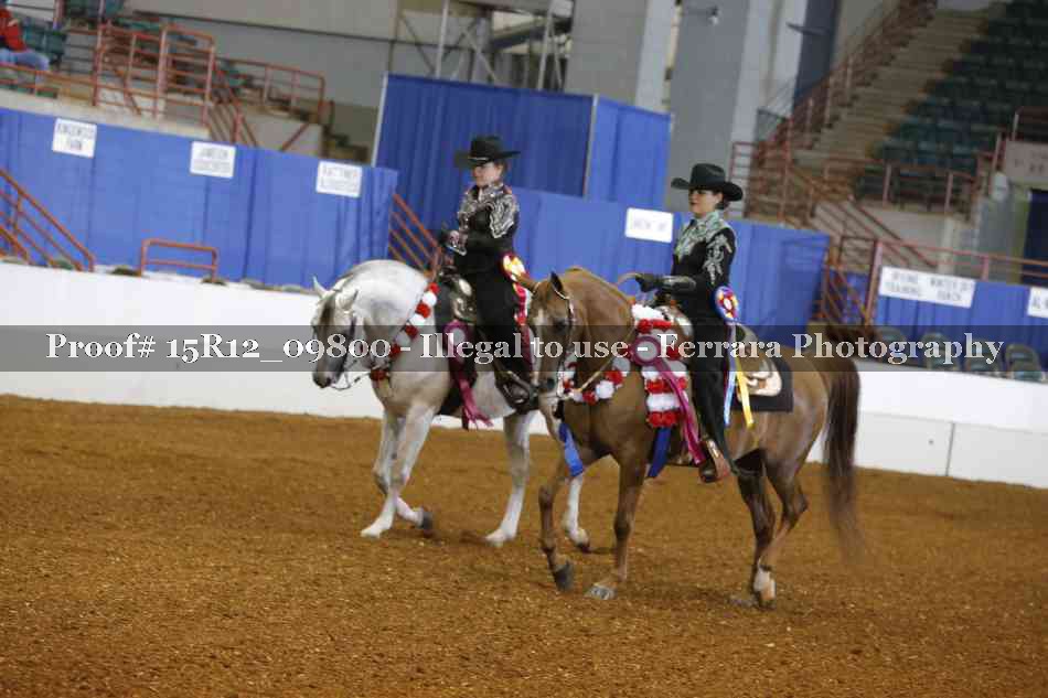 Proof 15R12_09800