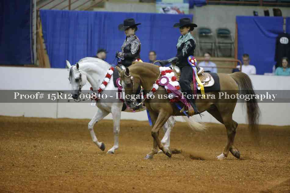 Proof 15R12_09810