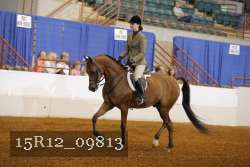 15R12_09813 proof