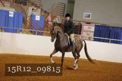 15R12_09815 proof