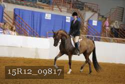 15R12_09817 proof