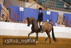 15R12_09818 proof
