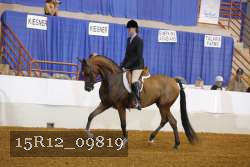 15R12_09819 proof
