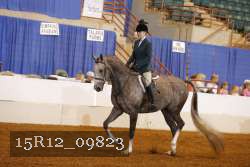 15R12_09823 proof