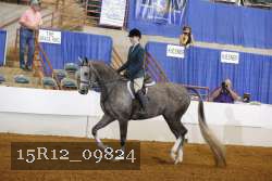 15R12_09824 proof