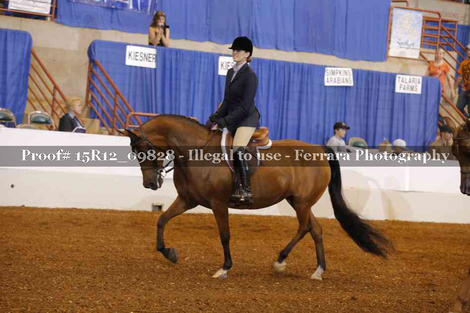 Proof 15R12_09828