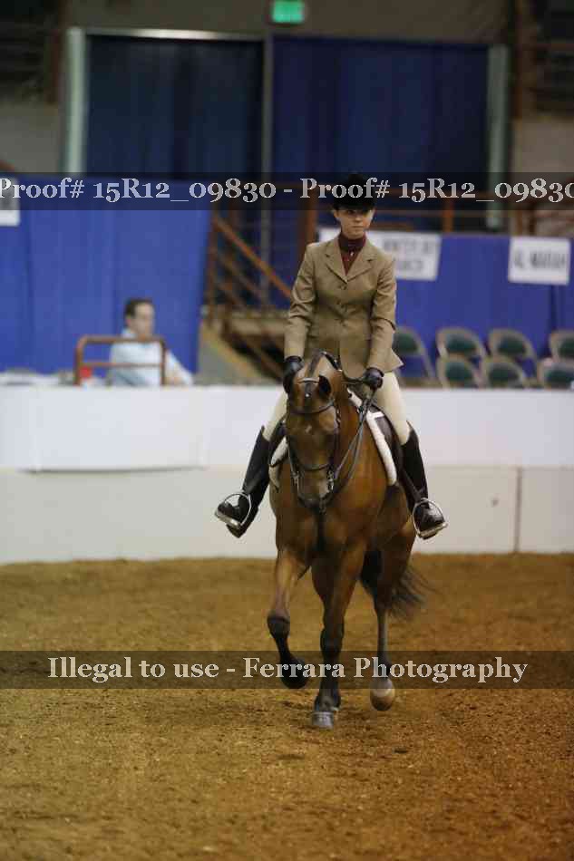 Proof 15R12_09830
