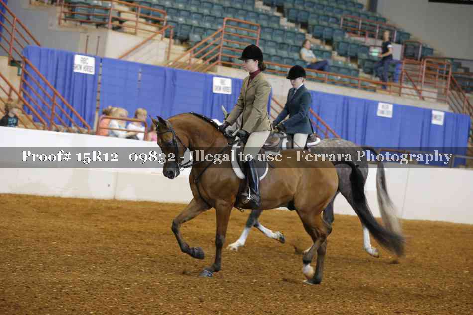 Proof 15R12_09832