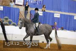 15R12_09833 proof