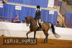 15R12_09835 proof