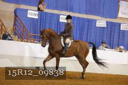 15R12_09838 proof