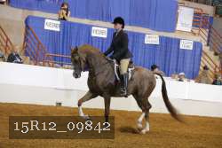 15R12_09842 proof