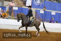 15R12_09844 proof
