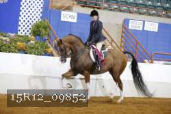15R12_09852 proof