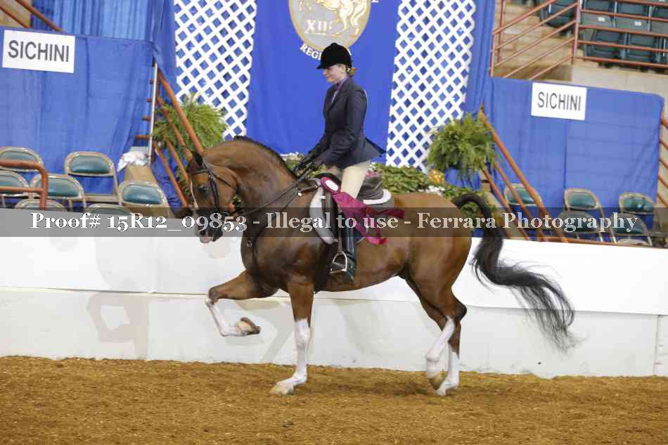 Proof 15R12_09853