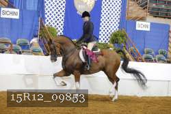 15R12_09853 proof