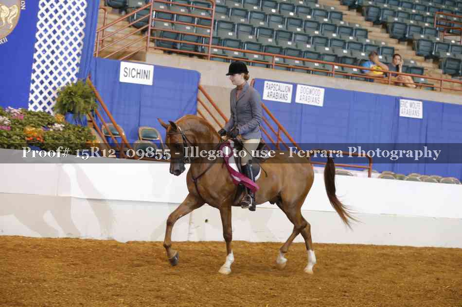 Proof 15R12_09855