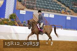 15R12_09855 proof