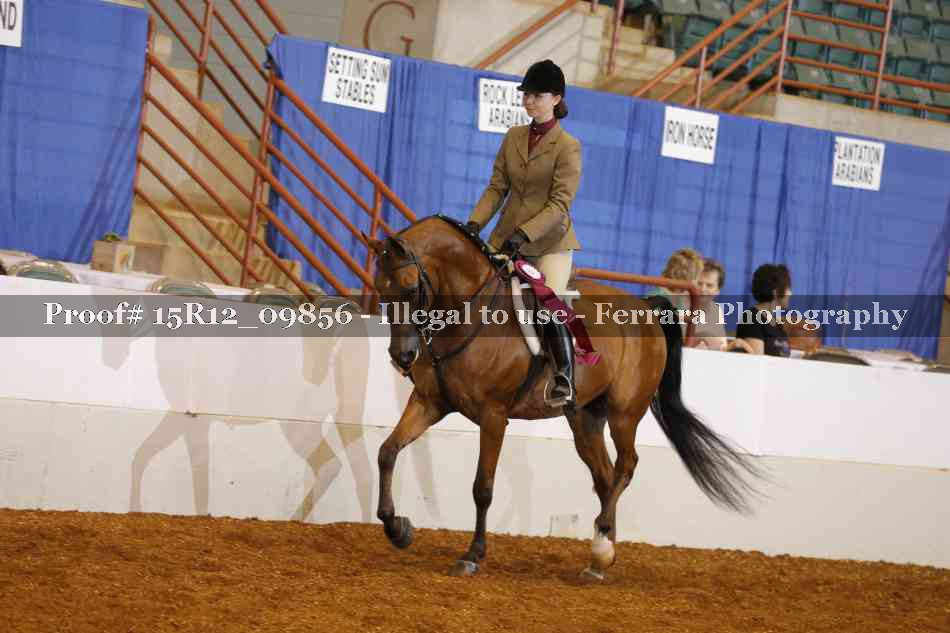 Proof 15R12_09856