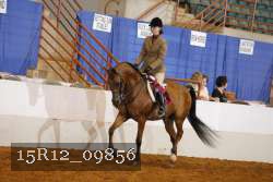 15R12_09856 proof