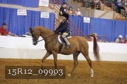 15R12_09903 proof