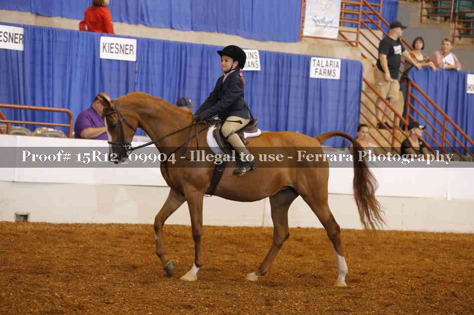 Proof 15R12_09904